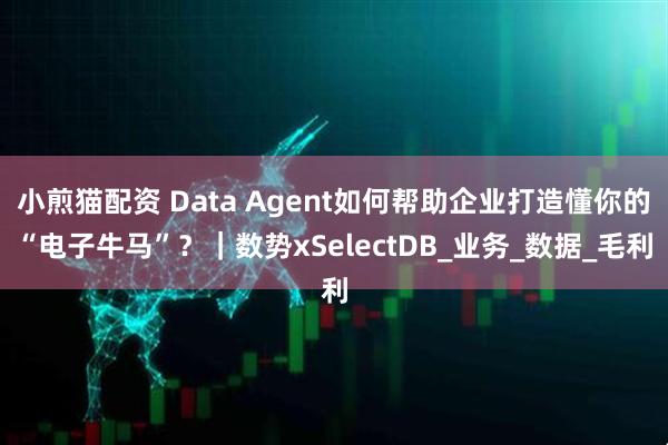 小煎猫配资 Data Agent如何帮助企业打造懂你的“电子牛马”？｜数势xSelectDB_业务_数据_毛利