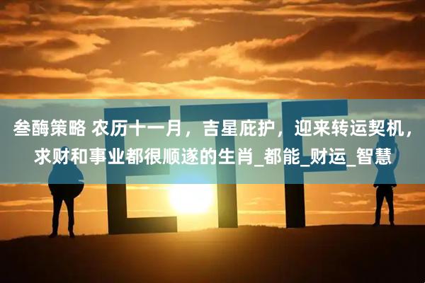 叁酶策略 农历十一月，吉星庇护，迎来转运契机，求财和事业都很顺遂的生肖_都能_财运_智慧