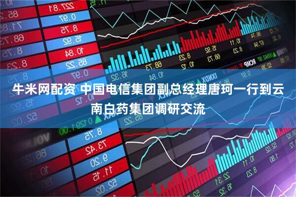 牛米网配资 中国电信集团副总经理唐珂一行到云南白药集团调研交流