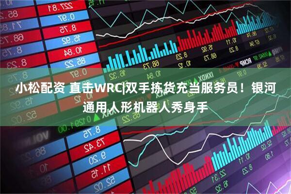 小松配资 直击WRC|双手拣货充当服务员！银河通用人形机器人秀身手