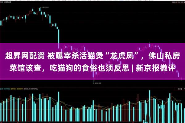 超昇网配资 被曝宰杀活猫煲“龙虎凤”，佛山私房菜馆该查，吃猫狗的食俗也须反思 | 新京报微评